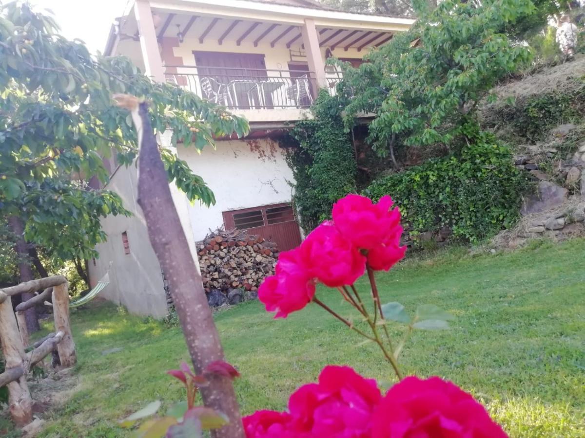 Casa Rural El Arroyo Sotoserrano Buitenkant foto